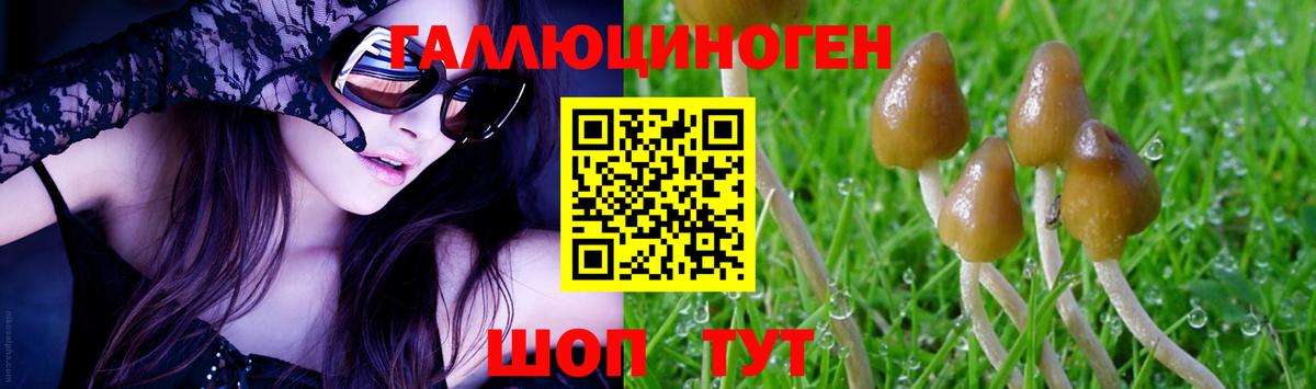 Псилоцибиновые грибы Psilocybine cubensis  Вход с VPN  Пенза 